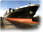 Ocean Freight