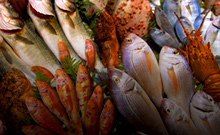 Fish & Seafood