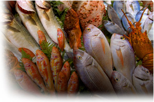 Fish & Shellfish Industry