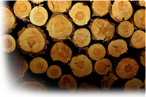 Forestry Industry